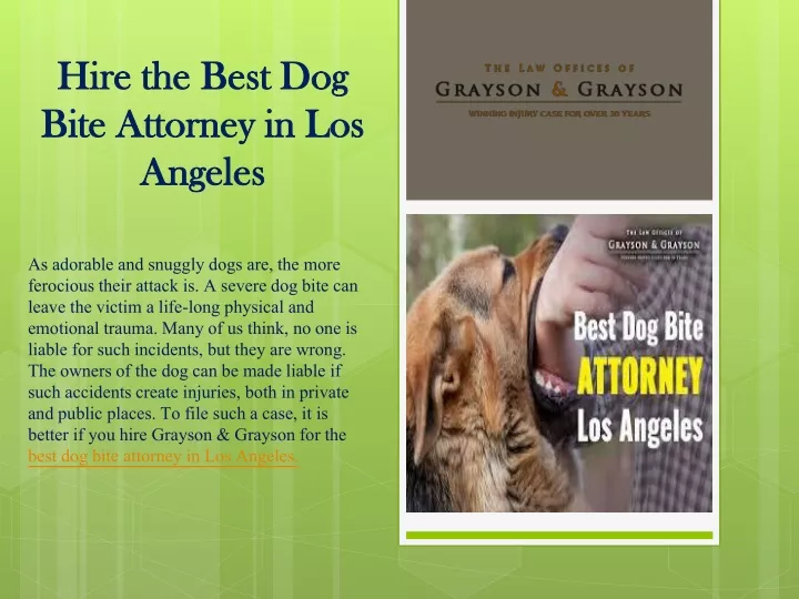 hire the best dog bite attorney in los angeles