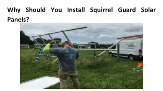 why should you install squirrel guard solar panels