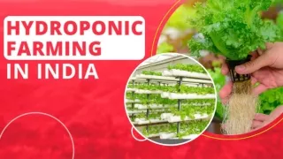 Hydroponic Farming in India