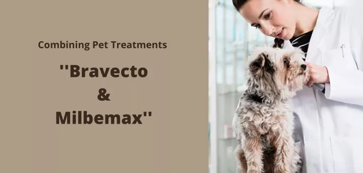 combining pet treatments