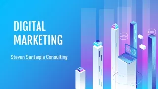 The Leading Digital Marketing Company is Steven Santarpia Consulting