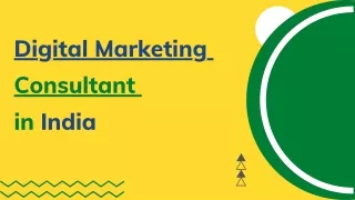 Digital Marketing Consultant in india