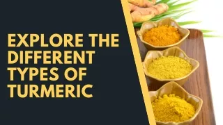 Explore The Different Types Of Turmeric