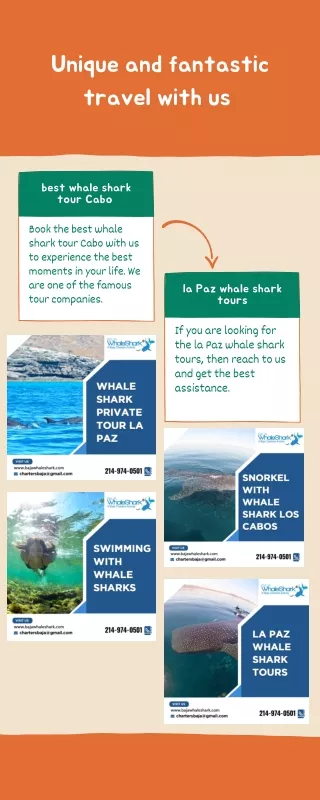 unique and fantastic travel with us