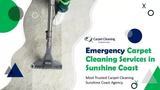 Emergency Carpet Cleaning Services in Sunshine Coast | Pet Stain Removal