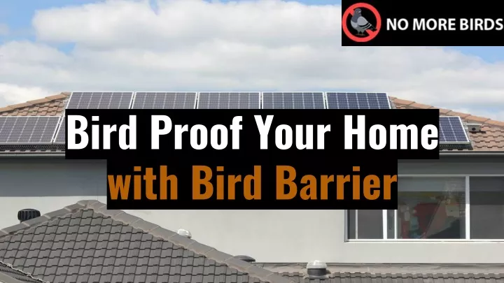 bird proof your home with bird barrier