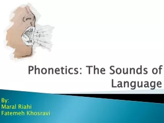 phonetics the sounds of language