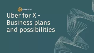 Uber for X - Business plans and possibilities