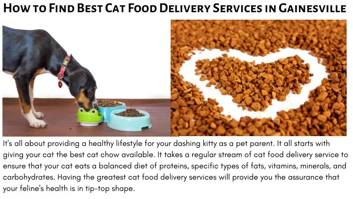 how to find best cat food delivery services