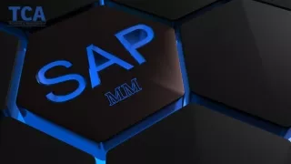 Best SAP MM Training Institute in Delhi
