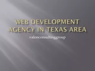 web development agency in Texas Area