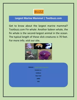 Largest Marine Mammal  Tootbuzz.com-converted
