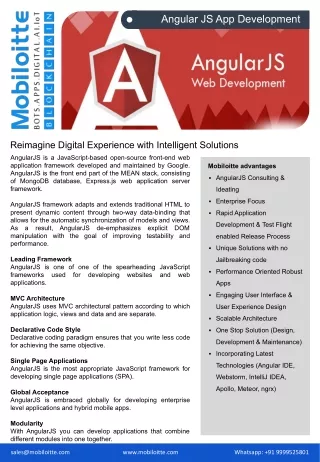 angular js app development