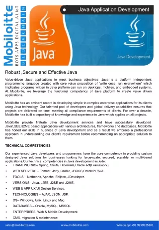 java application development