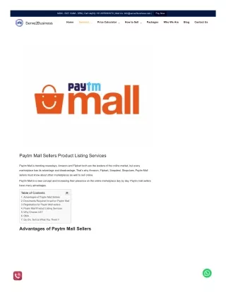 serve2business-com-paytm-mall-sellers-