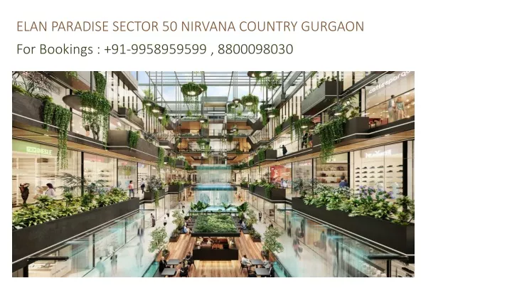 elan paradise sector 50 nirvana country gurgaon