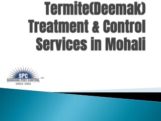 Termite(Deemak) Treatment & Control Services in Mohali