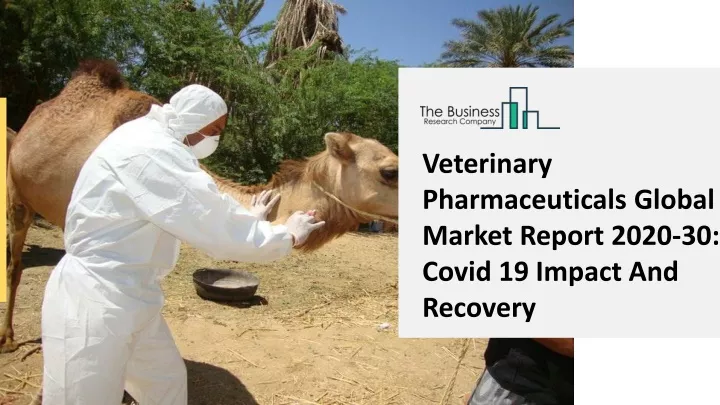 veterinary pharmaceuticals global market report