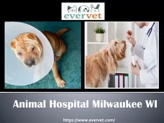The Best Animal Hospital Milwaukee WI
