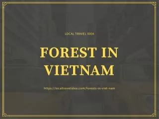 local travel idea