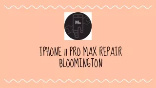 iPhone 11 pro max repair Bloomington