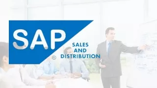 Best SAP SD Training Course in Delhi
