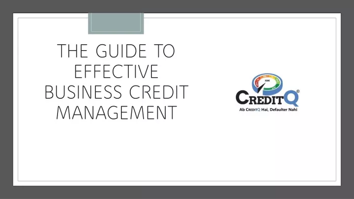 the guide to effective business credit management