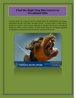 Find the Right Dog Bite Lawyer in Woodland Hills