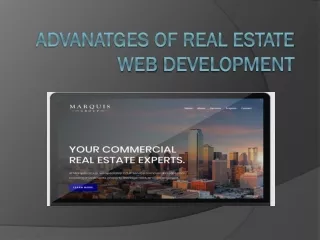 advanatges of real estate web development