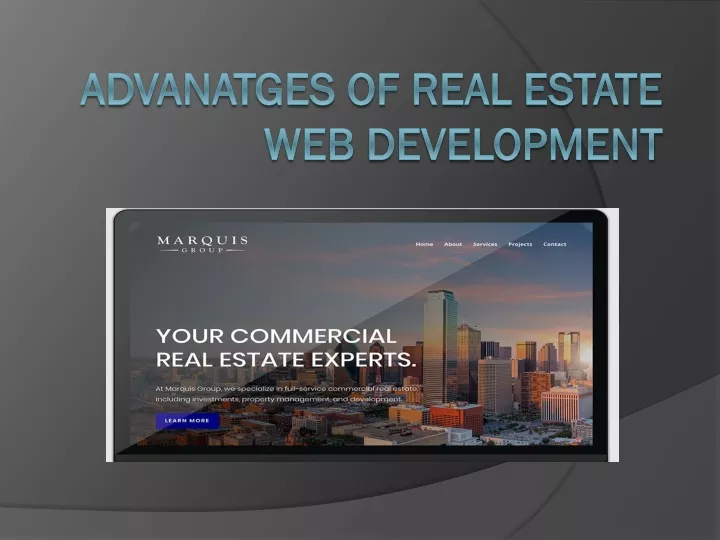 advanatges of real estate web development