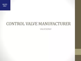 Control Valve Manufacturer