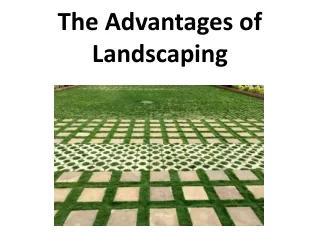 the advantages of landscaping