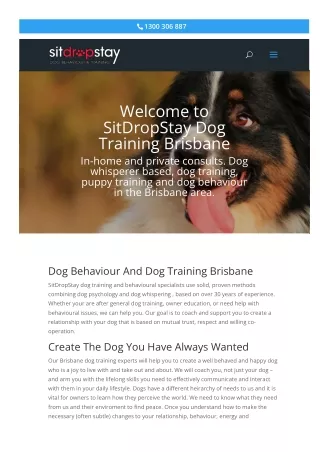 Dog training Brisbane