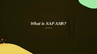 SAP AMS Consultant PPT
