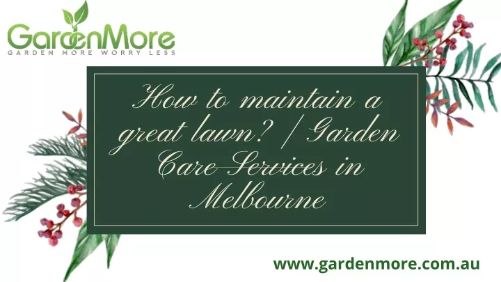 how to maintain a great lawn garden care services