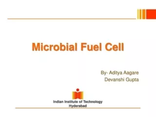 microbial fuel cell (1)