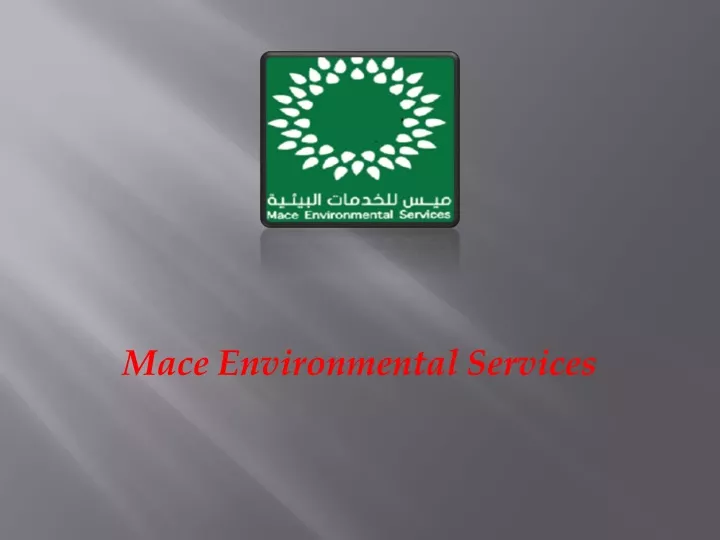 mace environmental services