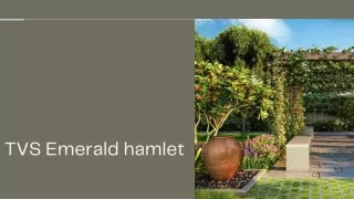 tvs emerald hamlet