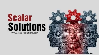 www scalar solutions com