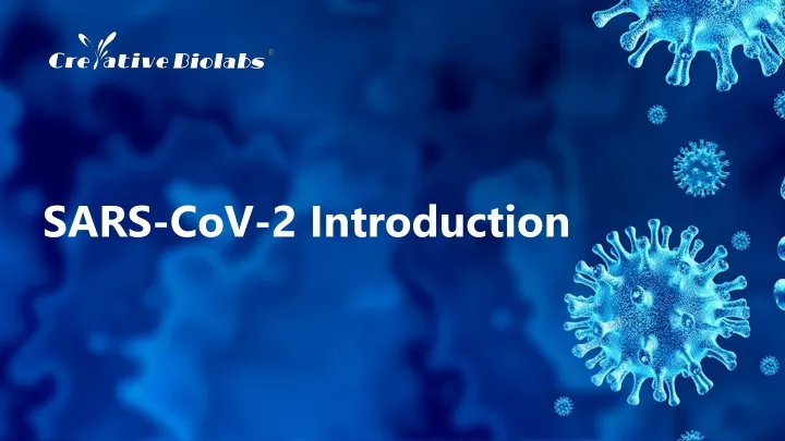 sars cov 2 introduction