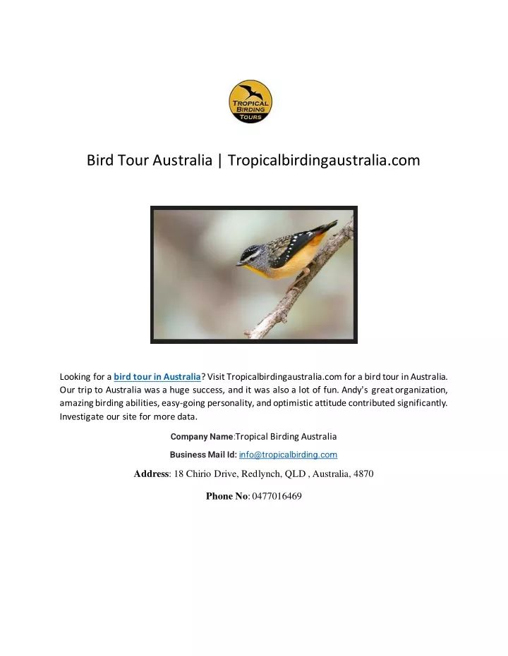 bird tour australia tropicalbirdingaustralia com