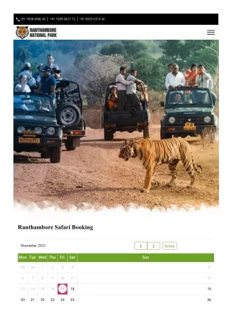 Safari Booking Information