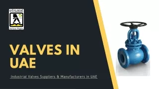valves in uae