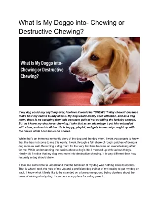 What is my doggo into- Chewing or destructive chewing_