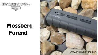 m o ss b e r g forend