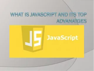 what is javascript and its top advanatges