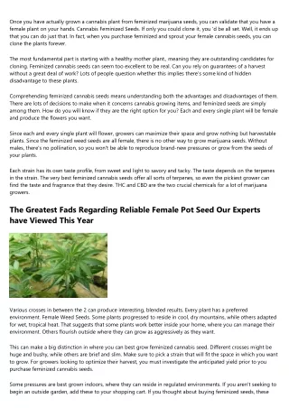 8 Wonderful Features Of Excellent Female Marijuana Seeds Sale