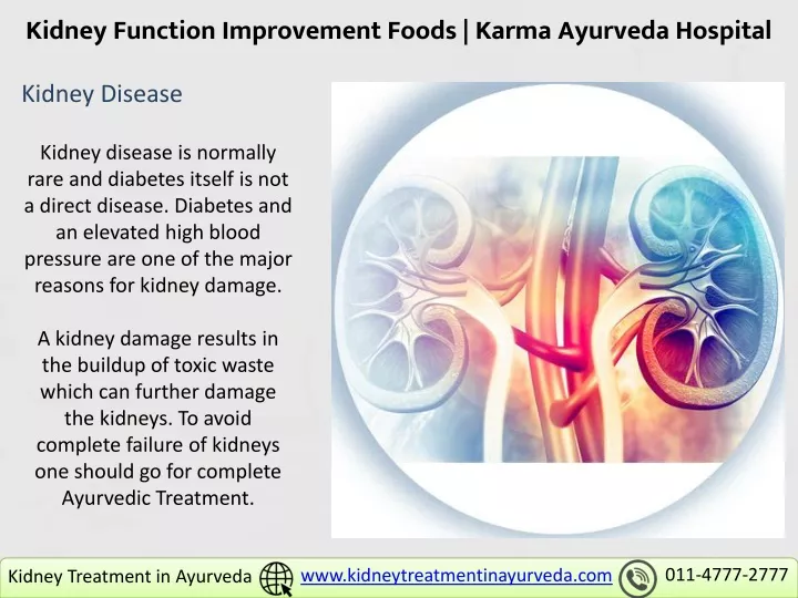 kidney function improvement foods karma ayurveda