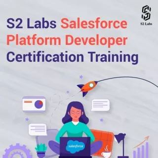 Salesforce Developer Certification Training