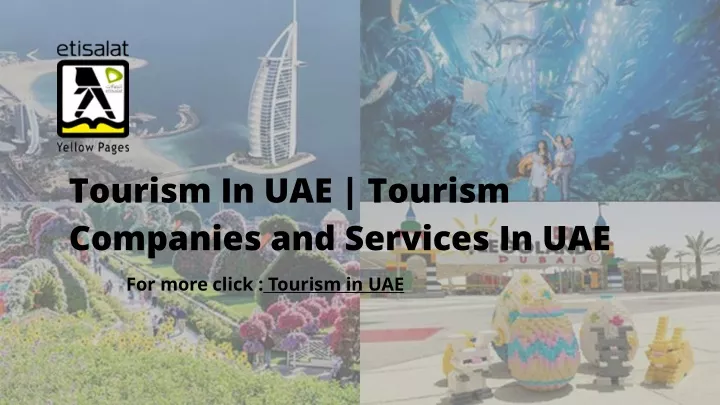 tourism in uae tourism companies and services